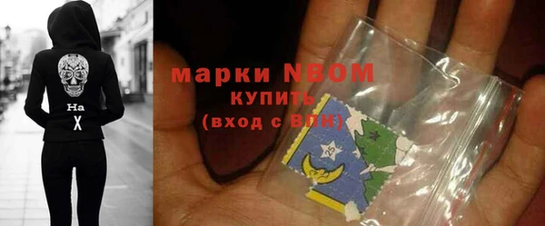 МДПВ Аша
