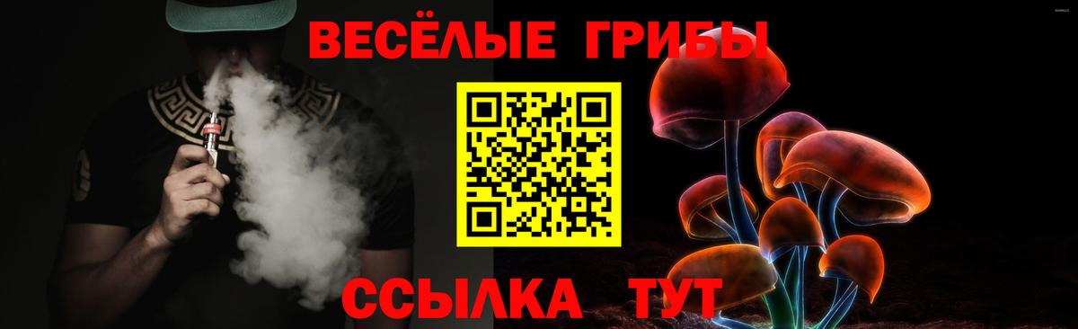 Богородицк  Галлюциногенные грибы GOLDEN TEACHER  Вход с VPN 